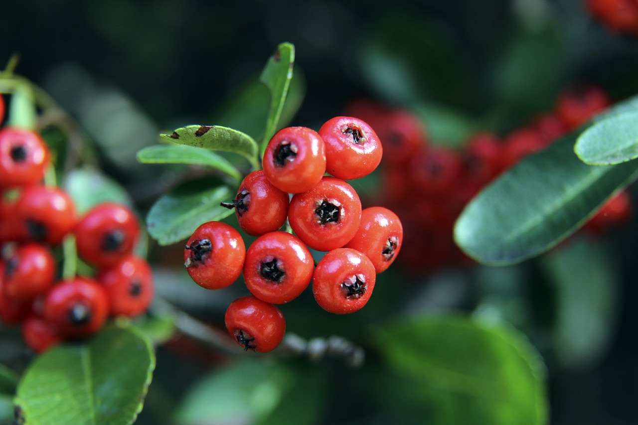 亚洲市场的 亚洲市场的