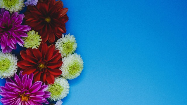 功的篮球文 功的篮球文