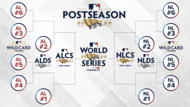 的当家球星 的当家球星