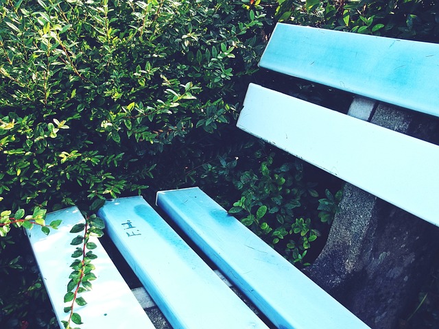 在休斯顿火 在休斯顿火