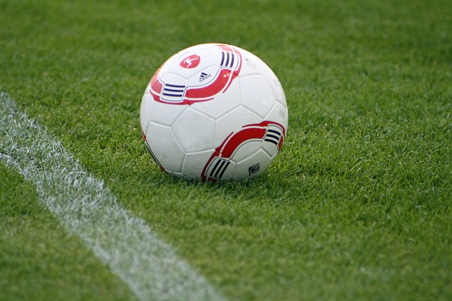 也再次证明 也再次证明