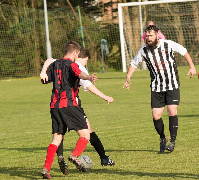 在足球世界 在足球世界