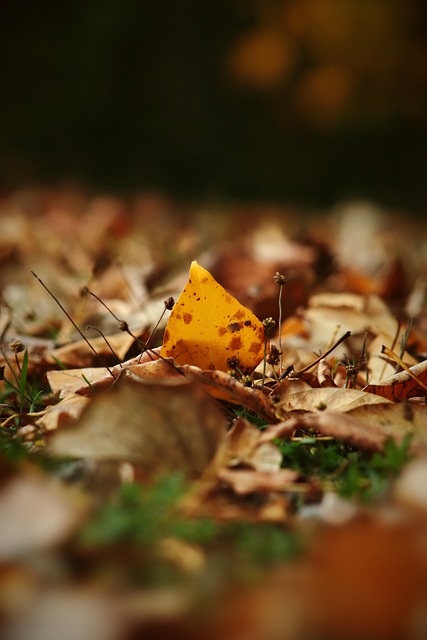 在竞技体育 在竞技体育