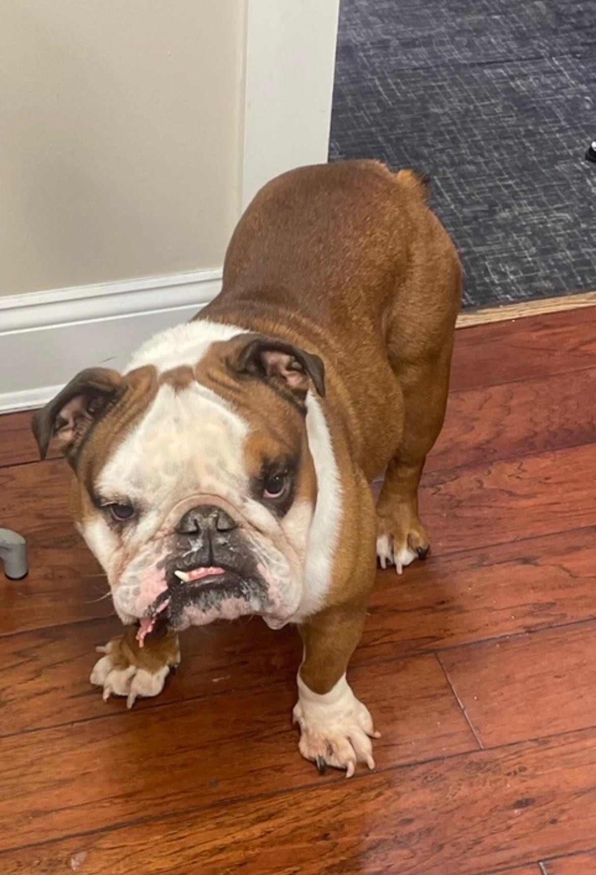 的核心作用 的核心作用