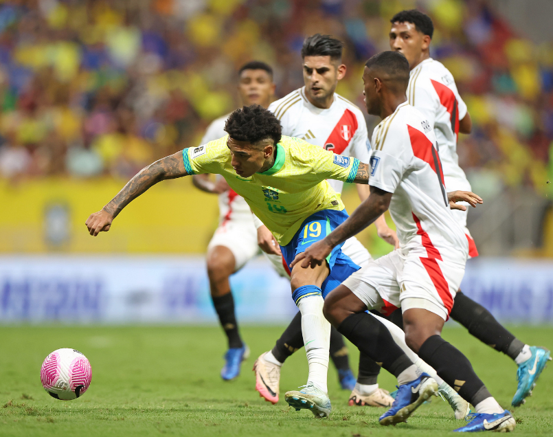 选择了更具 选择了更具