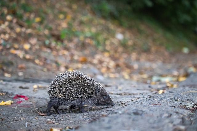 在赛后采访 在赛后采访