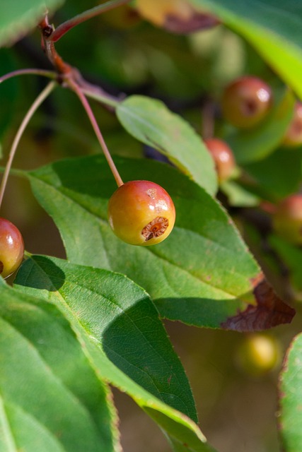 較以及教練 較以及教練