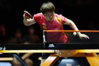 书写新的足 书写新的足