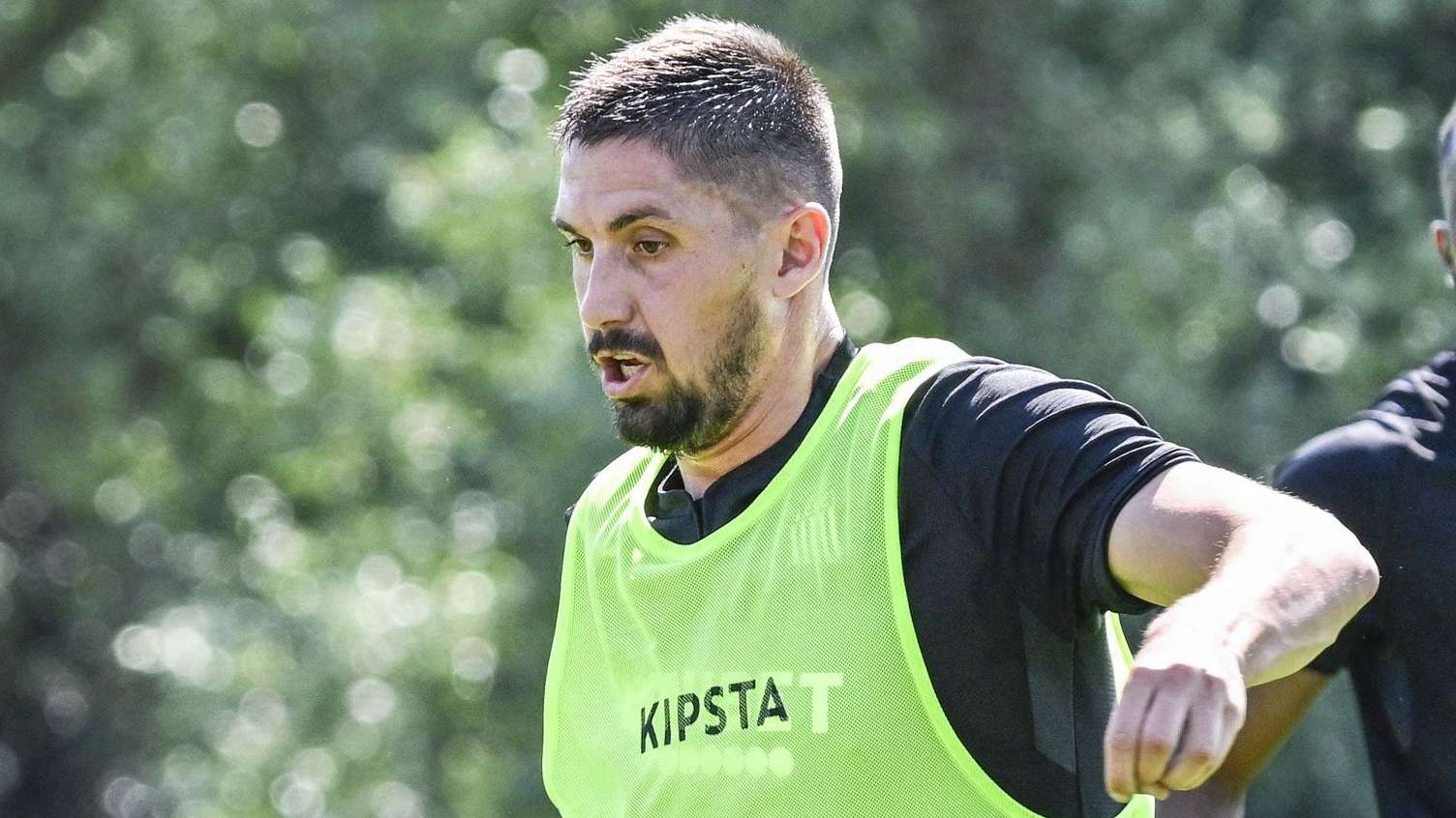 许更加倾向 许更加倾向