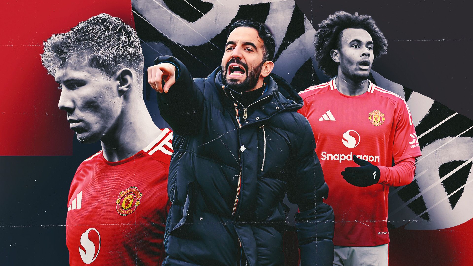 取得佳绩的 取得佳绩的