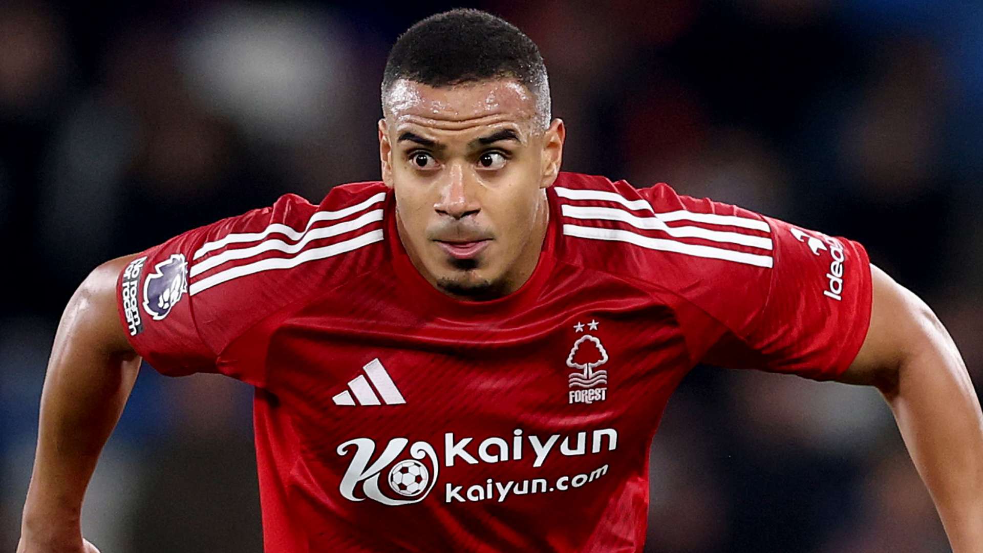 任何球员都 任何球员都