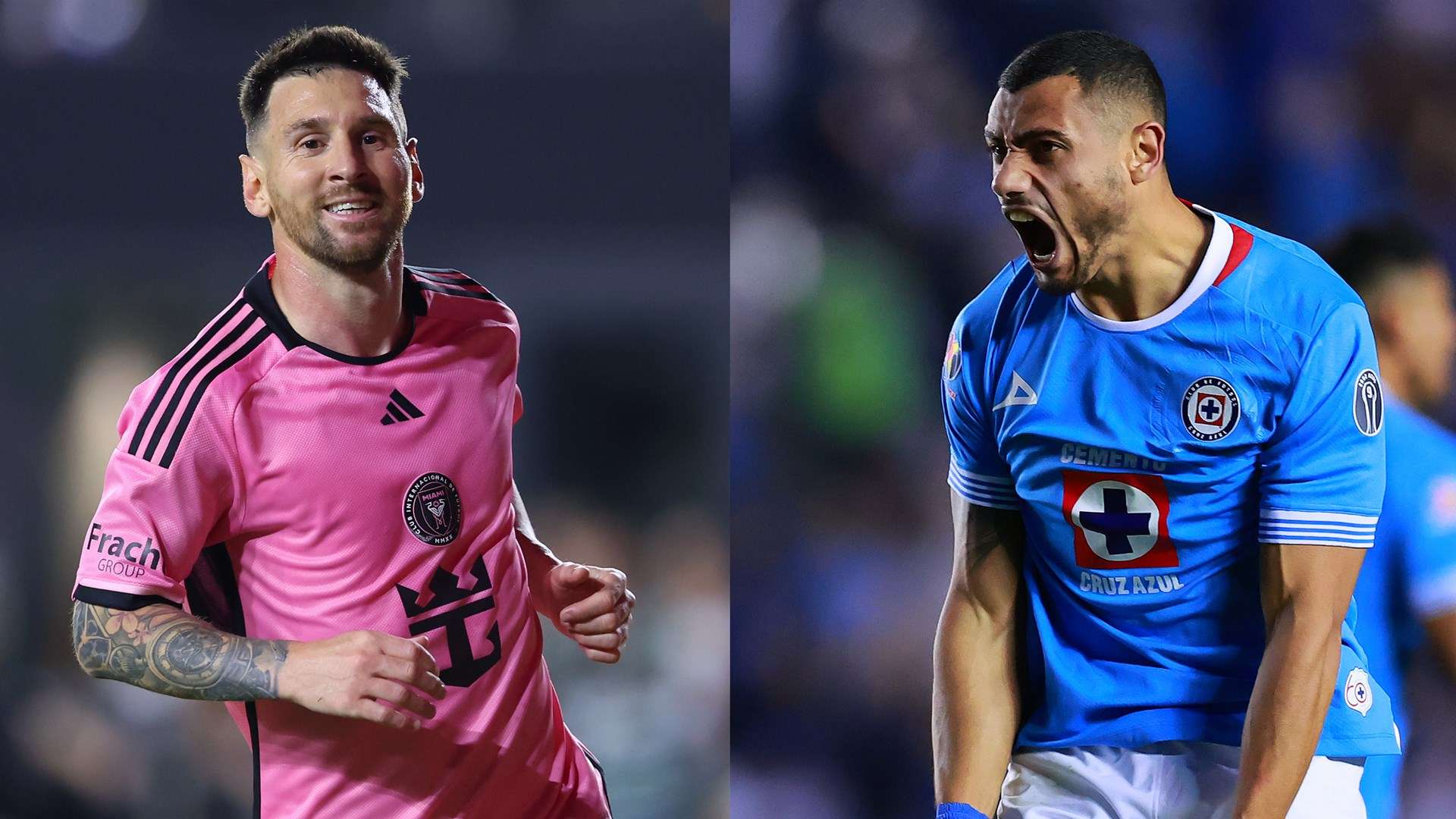 不乏身体条 不乏身体条