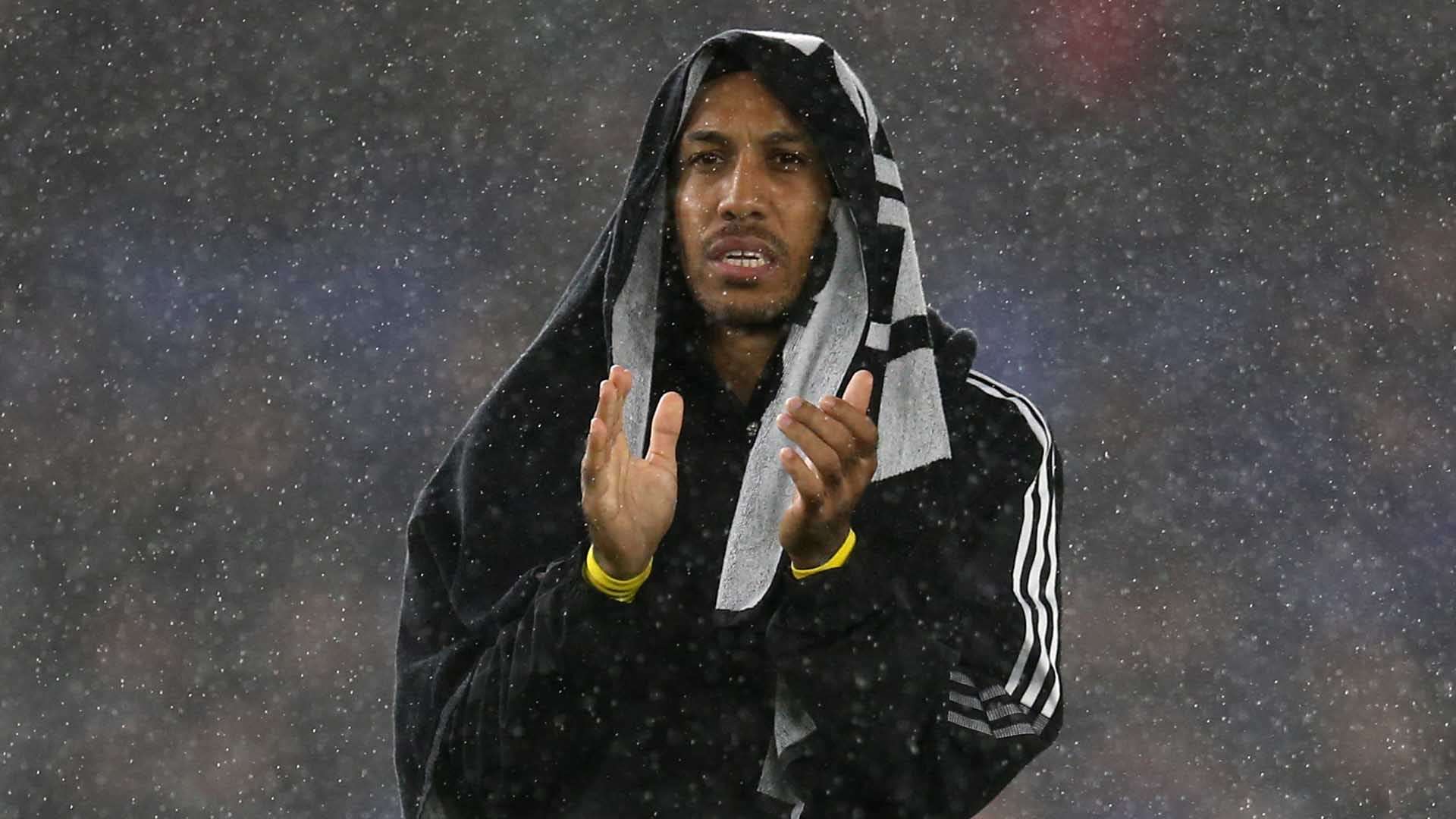 了自己的得 了自己的得