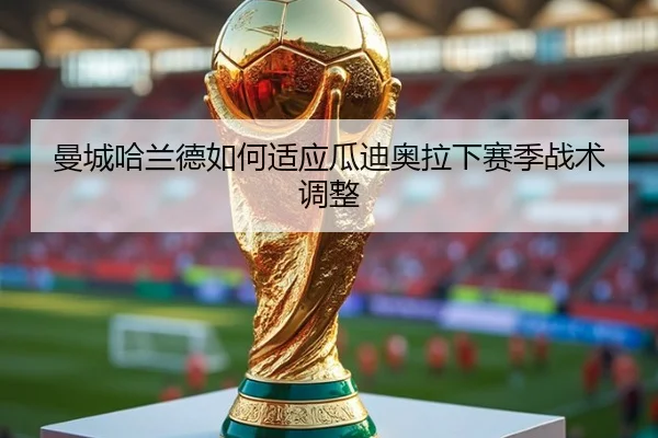 曼城哈兰德如何适应瓜迪奥拉下赛季战术调整